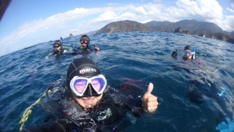 ダイブテリーズ