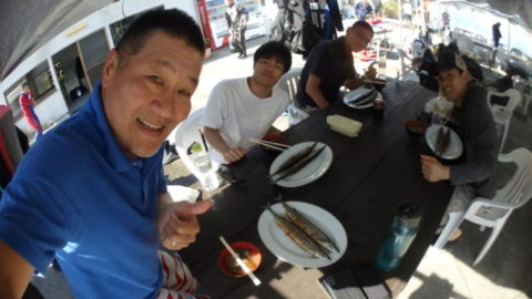 ダイブテリーズ