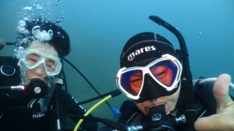 ダイブテリーズ