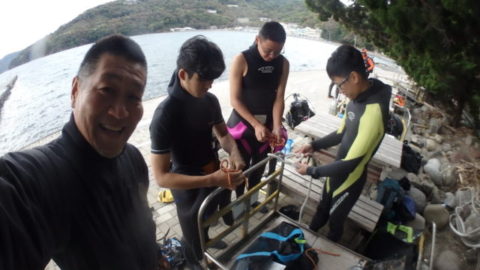 ダイブテリーズ