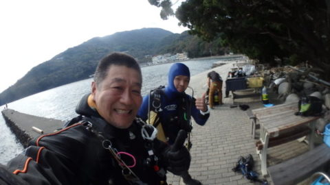 ダイブテリーズ