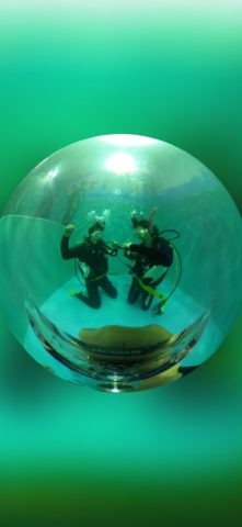 ダイブテリーズ