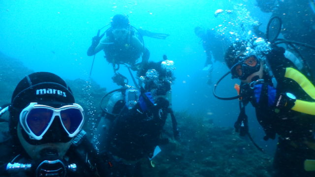 ダイブテリーズ