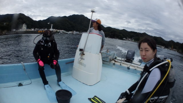 ダイブテリーズ