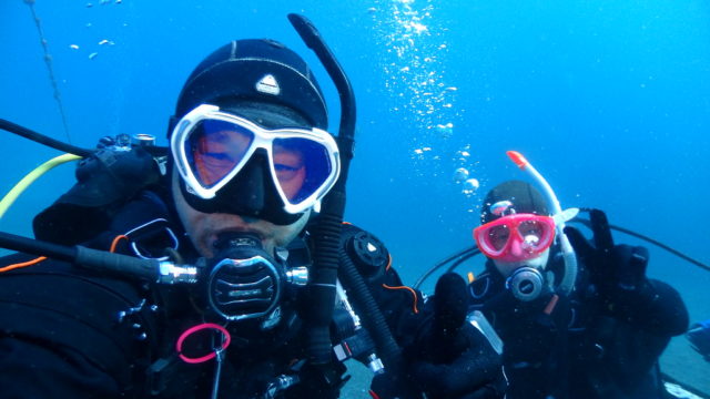 ダイブテリーズ