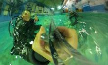 ダイブテリーズ