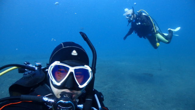 ダイブテリーズ