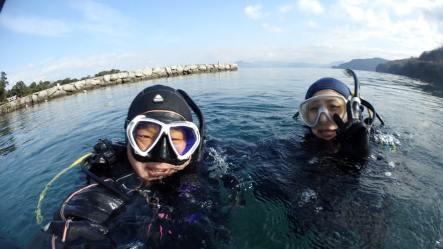 ダイブテリーズ