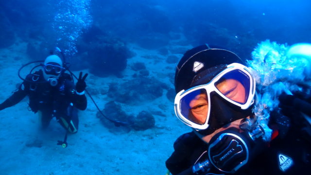 ダイブテリーズ