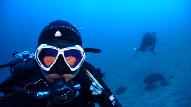 ダイブテリーズ