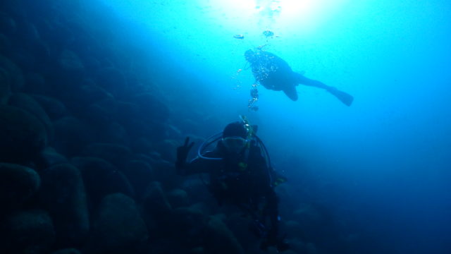 ダイブテリーズ