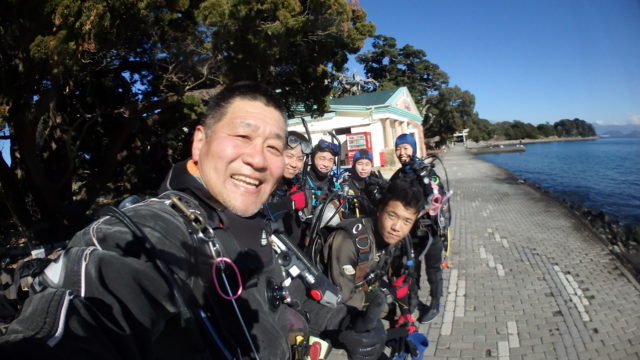 ダイブテリーズ