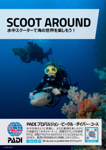 ダイブテリーズ