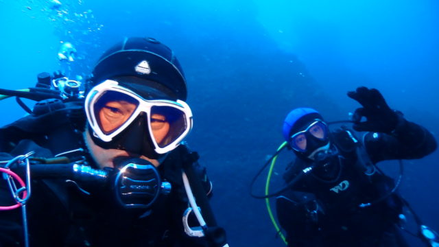 ダイブテリーズ