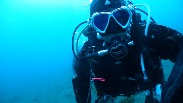 ダイブテリーズ