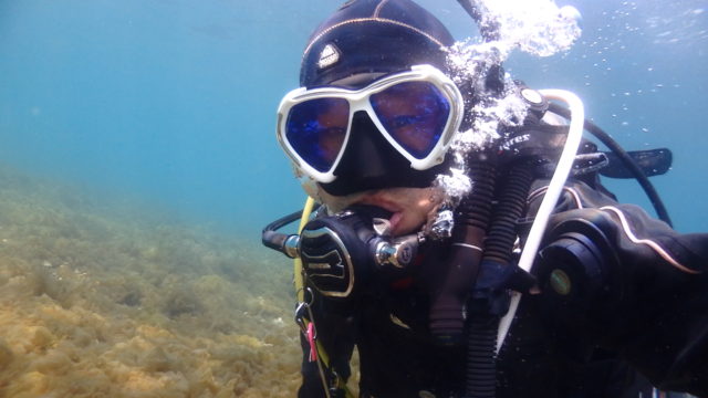 ダイブテリーズ