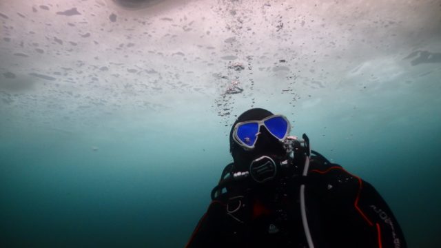 ダイブテリーズ