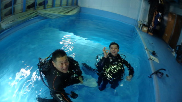 ダイブテリーズ