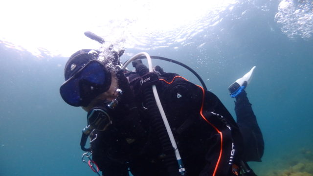 ダイブテリーズ