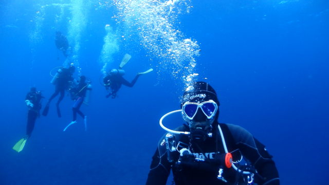 ダイブテリーズ