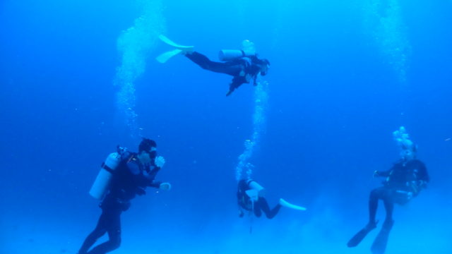 ダイブテリーズ