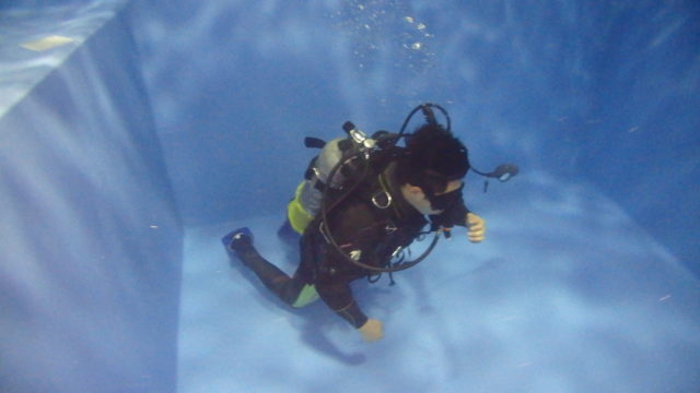 ダイブテリーズ