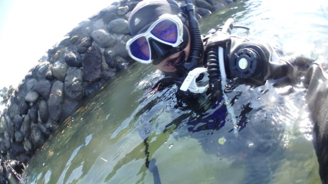 ダイブテリーズ