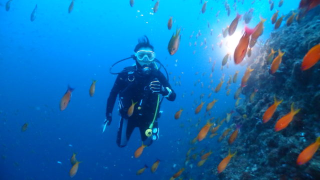 ダイブテリーズ