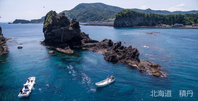 ダイブテリーズ