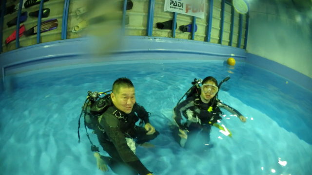 ダイブテリーズ