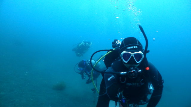 ダイブテリーズ