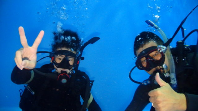 ダイブテリーズ