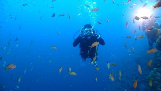 ダイブテリーズ