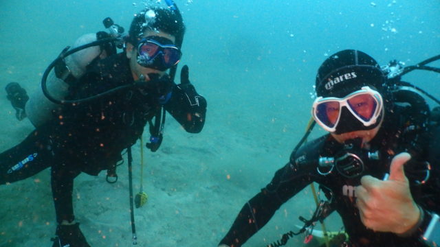 ダイブテリーズ