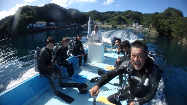 ダイブテリーズ