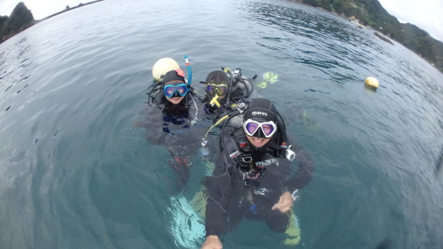 ダイブテリーズ