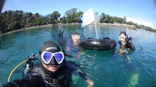 ダイブテリーズ