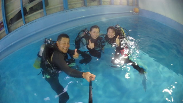 ダイブテリーズ