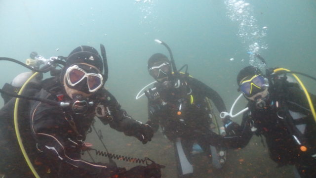 ダイブテリーズ