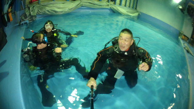 ダイブテリーズ