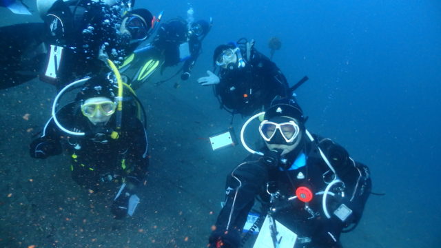 ダイブテリーズ