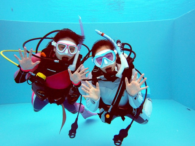 ダイブテリーズ