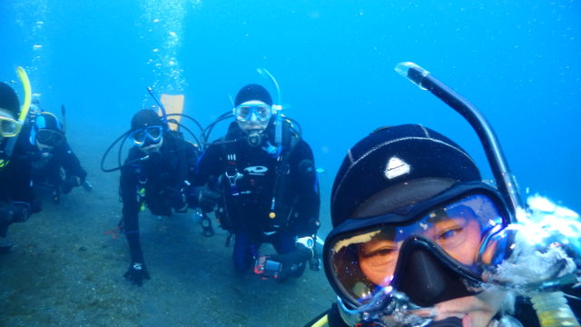 ダイブテリーズ