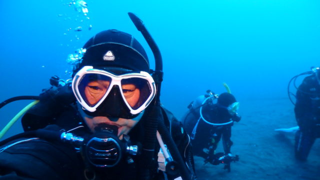 ダイブテリーズ