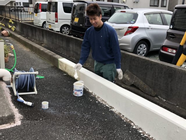 ダイブテリーズ