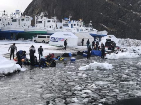 ダイブテリーズ