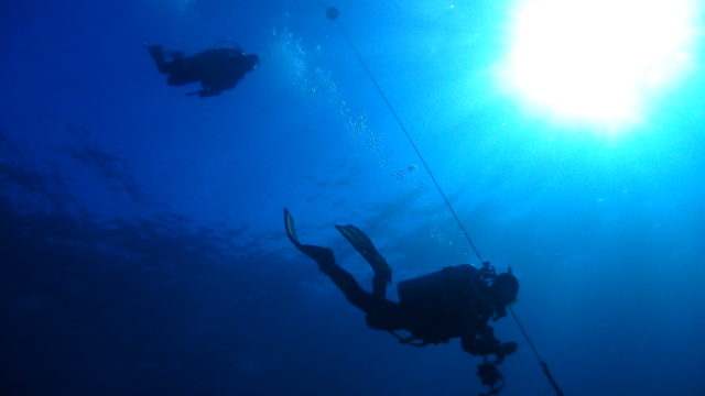 ダイブテリーズ