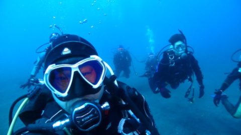 ダイブテリーズ