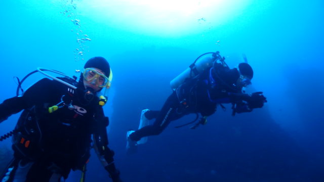 ダイブテリーズ