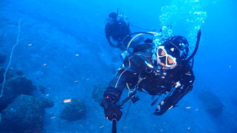 ダイブテリーズ